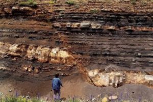 WhatsApp Image 2026-02-20 at 14.28.46 (1)