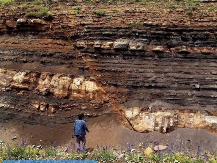 WhatsApp Image 2026-02-20 at 14.28.46 (1)